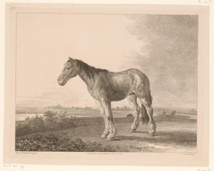 Álló ló a folyó táján Állatok holland mesterek festményei után (sorozat címe) Différens animaux graves d
