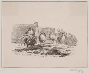 A kakas