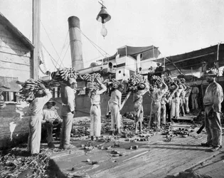 Banán betöltése, Port Antonio, Jamaica, c1905.