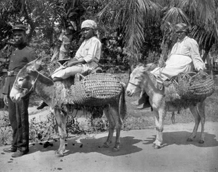 Be a börtönbe, Jamaica, 1905.