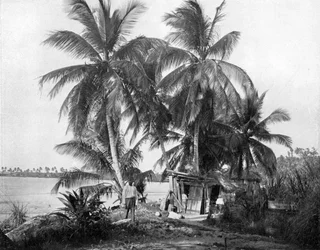 A Blue Hole felé vezető úton, Port Antonio, Jamaica, c1905.