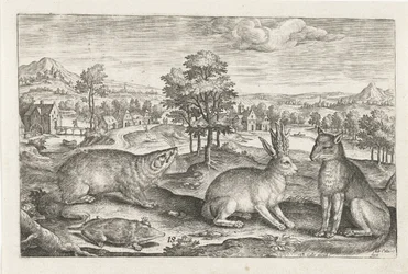 erdei állatok Négylábú állatok (sorozat címe) Animalivm Qvaddrvpedvm (sorozat címe)