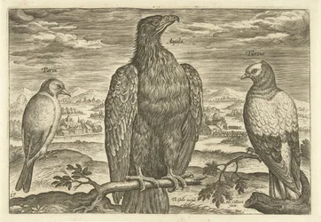 Három madár a tájban Avium Vivae (sorozat címe) Madarak (sorozat címe)