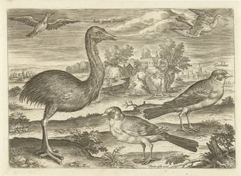 Néhány madár a tájban Madarak (sorozat címe) Avium vivae (sorozat címe)