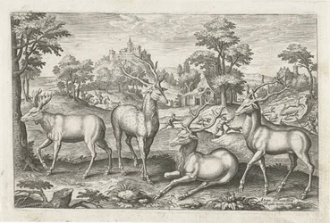 szarvas Négylábú állatok (sorozat címe) Animalivm Qvaddrvpedvm (sorozat címe)