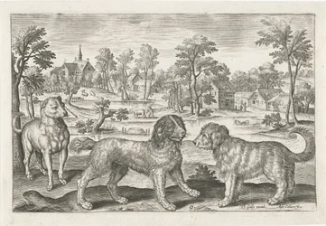 Kutyák Négylábú állatok (sorozat címe) Animalivm Qvaddrvpedvm (sorozat címe)