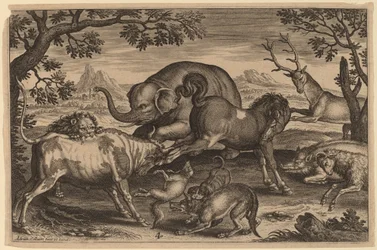 Lion, Bull, Fox, Wolf, Dog, Boar, Goat, Horse, Elephant and Deer   1241060   hu       hungarian Successfully Translated  Original: Sabijnse maagdenroof Translat: Sabijnse maagdenroof 1384686 hu hungarian Successfully Translated Original: Inhoudsopgave Bloe