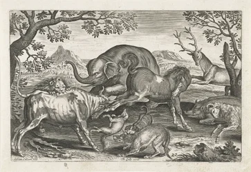 harcoló állatok Négylábú állatok (sorozat címe) Animalivm Qvaddrvpedvm (sorozat címe)