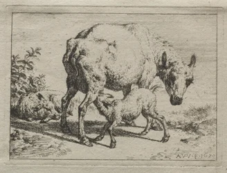 Az anyajuh és két bárány, 1670.