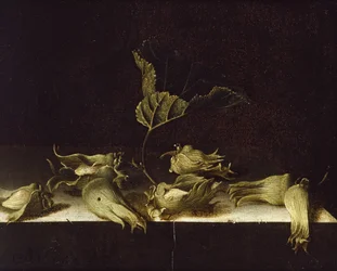Csendélet mogyoróval, 1696 (olaj, papír)