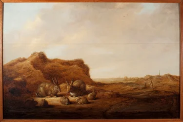 Táj nyulakkal Albert (Aelbert vagy Aelbrecht) Cuyp festménye (1620-1691) 1641-1642 Méret: 44x67 cm Gének, Musei di Strada Nuova (korábban Palazzo Rosso)