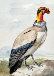 Kőcsér