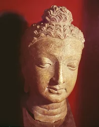 Buddha feje, görög-buddhista stílus, Haddából (kerámia)