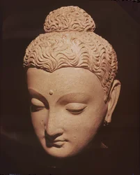 Buddha feje, görög-buddhista stílusban, Haddából (stukkó)