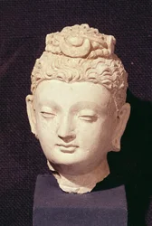 Buddha feje, görög-buddhista stílus, Hadda (stukkó)
