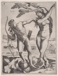 Apollo és Daphne, 1515-ben, 1515-ben.