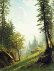 A Berni-Alpokban