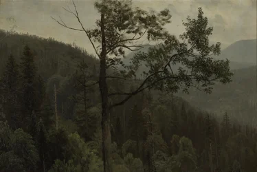 Fákkal borított hegyek