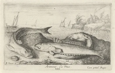 Három pöttyös szőke a parton Araneus. La Vie. (cím a tételen) Halak és más tengeri élőlények – sósvízi második sorozat (sorozat címe) Poissons de mer (sorozat címe)