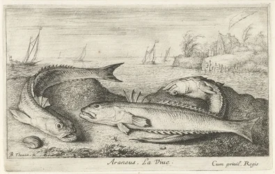 Három pöttyös szőke a parton Araneus. LaVie. (cím a tárgyon) Halak és más tengeri élőlények – sósvízi második sorozat (sorozat címe) Poissons de mer (sorozat címe)