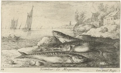 Három makréla a tengerparton Scomber. Le Maquereau. (cím a tárgyon) Halak és más tengeri élőlények – sósvízi első sorozat (sorozat címe) Diverse Especes de Poissons de mer (sorozat címe)