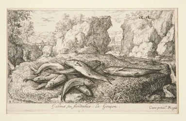 Gabius vagy Fundus. Le Goujon