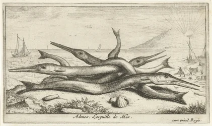 A tengerparton rögzítve Admos. Lesguille de Mer. (cím a tárgyon) Halak és más tengeri élőlények – sósvízi harmadik sorozat (sorozat címe) Poissons de mer (sorozat címe)