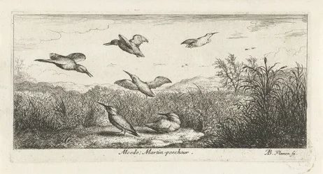 Táj jégmadárral alcedo; Martin-pecrack. (cím a tárgyon) Madárkönyv (sorozat címe) Livre d