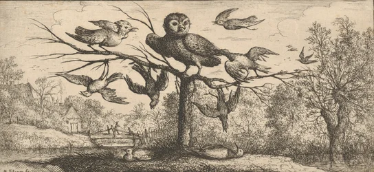 Monedula, Chouëtte A bagoly: Livre d