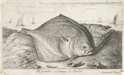 Két rombuszhal a parton Rhombus acleatus. Le Turbot. (cím a tárgyon) Halak és más tengeri élőlények – sósvízi harmadik sorozat (sorozat címe) Poissons de mer (sorozat címe)