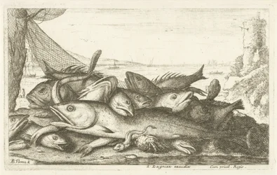 Remete rák horgászat Különböző halfajok (sorozat címe) Diverse Especes De Poissons tant de Mer, que d