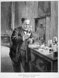 Louis Pasteur laboratóriumában az edelfelt festménye szerint