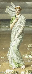 Tengeri kagylók, 1875