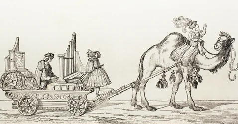 Paul Hoffaner orgonista játszik egy teve által vontatott kocsiban, 1880 körül (metszet)