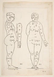Illusztráció Dürer Négy könyvéből az emberi arányról, Nürnberg, 1528.n.d.