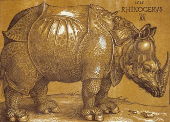 Az orrszarvú, 1515.