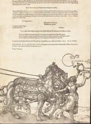 Maximilian I. diadalszekere A nagy diadalkocsi [8/8. tábla], 1523, latin kiadás.