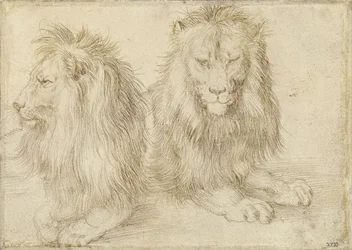 Két ülő oroszlán, 1521