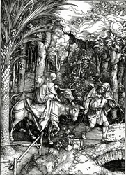 A menekülés Egyiptomba, a „Szűz élete” sorozatból, 1511-ben (fametszet)