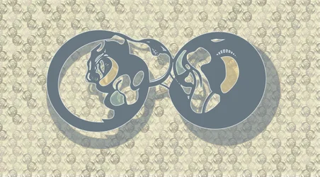 Absztrakt: Feline Infinity