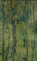 Mocsári erdő, 1917