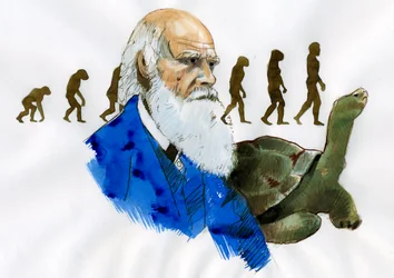 Charles Darwin portréja - Charles Darwin (1809-1882) angol természettudós portréja, illusztráció
