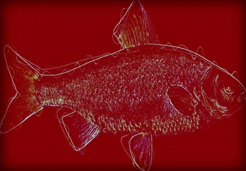 Fish V, 2020 (vegyes technika)