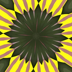 napraforgó,2019,(digitális)