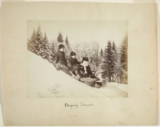 Szánkózás, 1873 körül (albumin nyomat (kompozit))