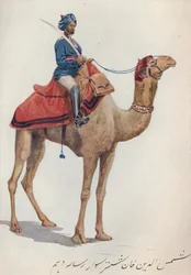 A 10. bengáli lándzsás teve-sowar, 1880 1905.