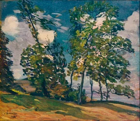 Szeles nap, 1906