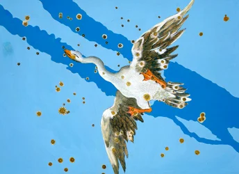 Halak csillagkép, 1603