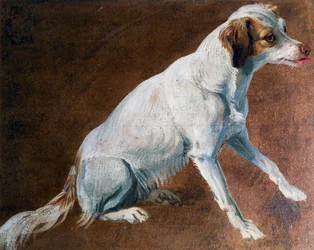 A francia spániel őse, Alexandre-François Desportes (1661-1743) alkotása, Franciaország