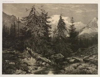 Alpesi patak